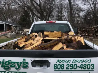 Back of Truck Full of Tree Logs Back of Truck Full of Tree Logs