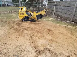 Backyard Large Tree Removal Backyard Large Tree Removal
