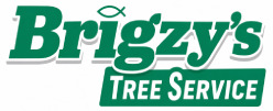 foremost media logo Brigzys Tree Service Logo