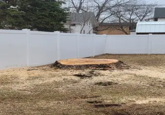 Srump Grinding Stump Removal