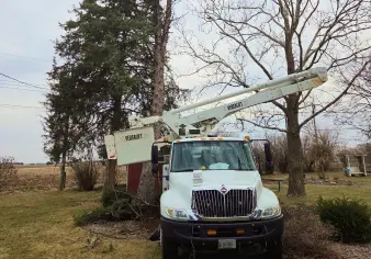 Tree Removal Truck