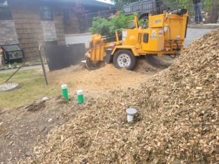 stump grinder taking down stump